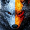 wolf online 0262a1